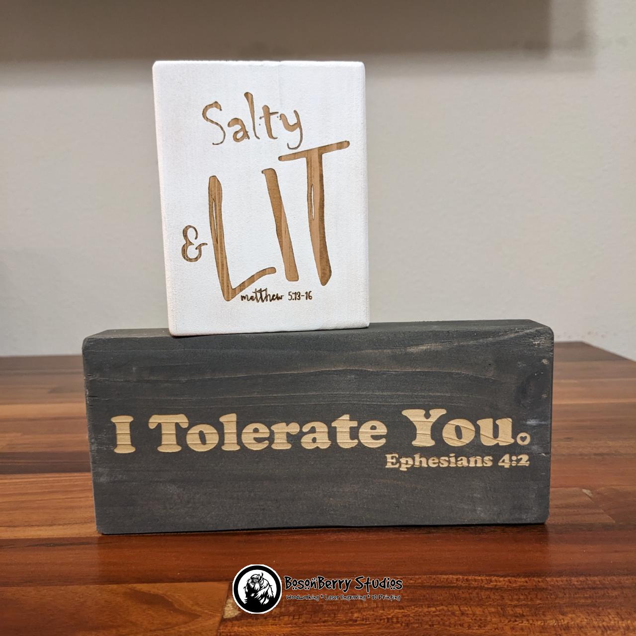 Bible Blocks-Decorative Wooden Shelf Signs - Short
