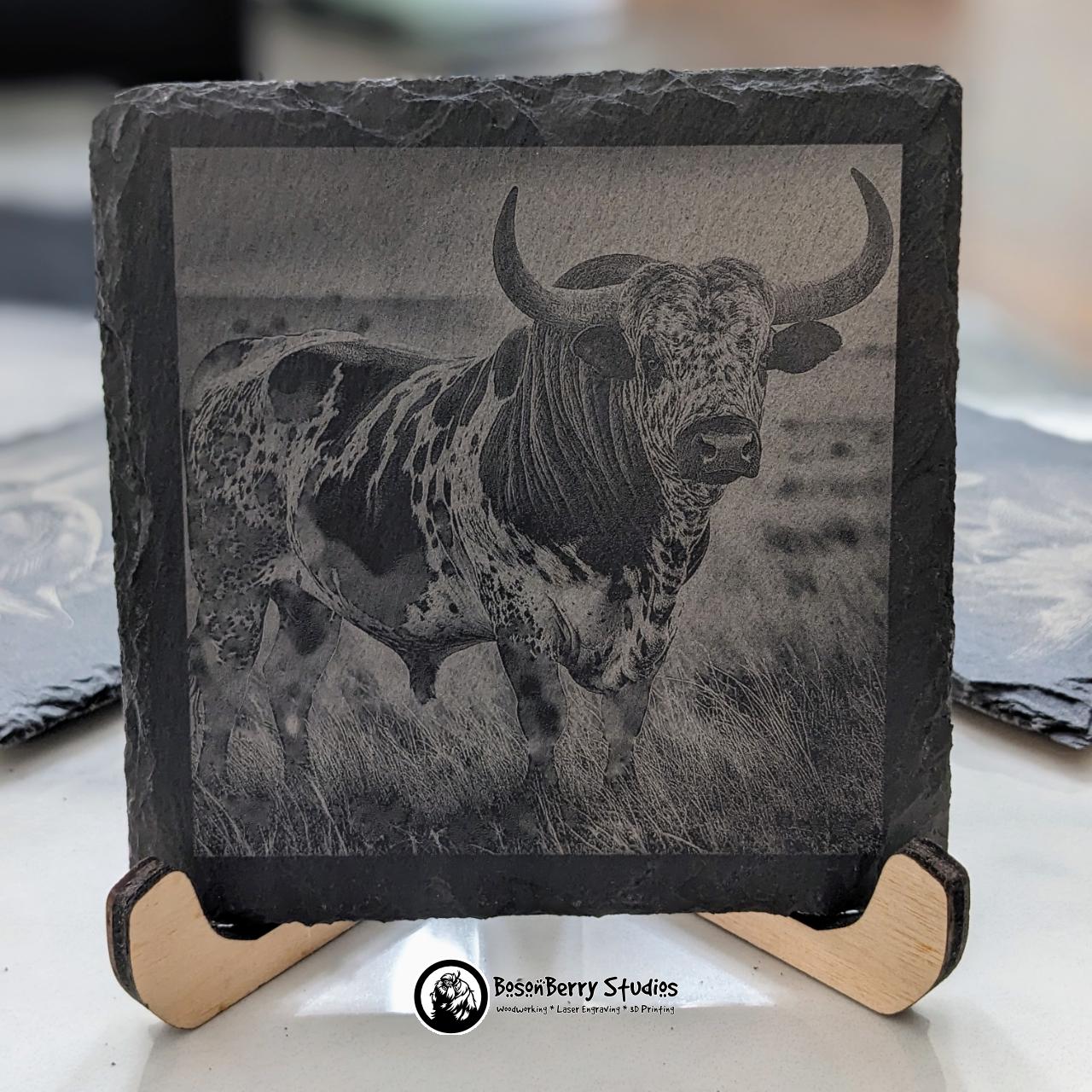 African Animal 4-Piece Slate Coaster Set