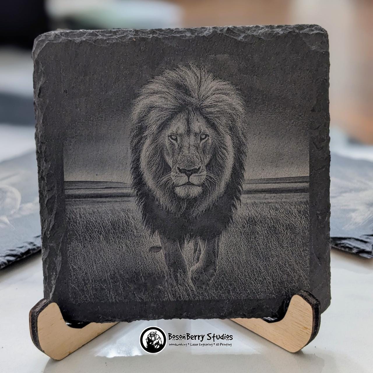 African Animal 4-Piece Slate Coaster Set