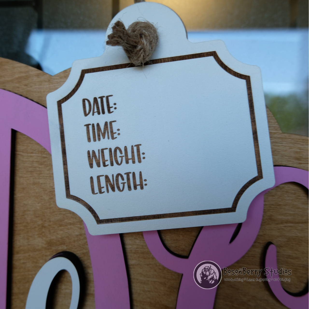 Baby Monogram Hospital Door Hanger Sign